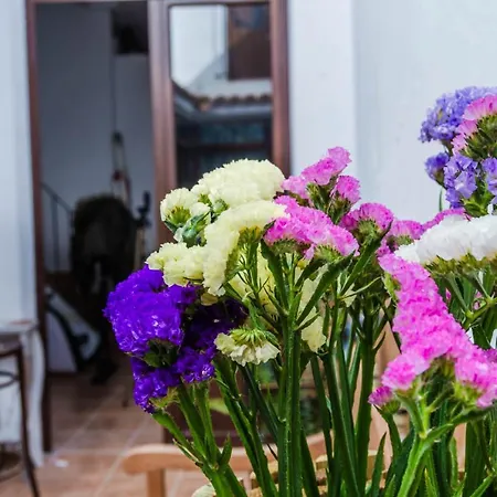 Apartment La Casita De Santa Marina