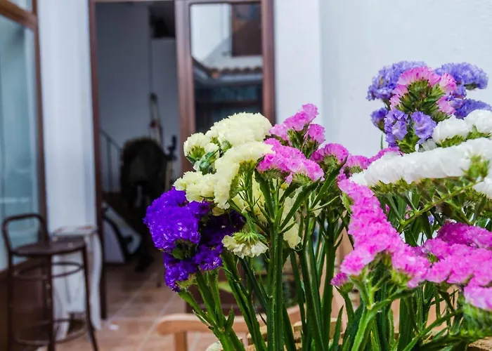 Apartment La Casita De Santa Marina